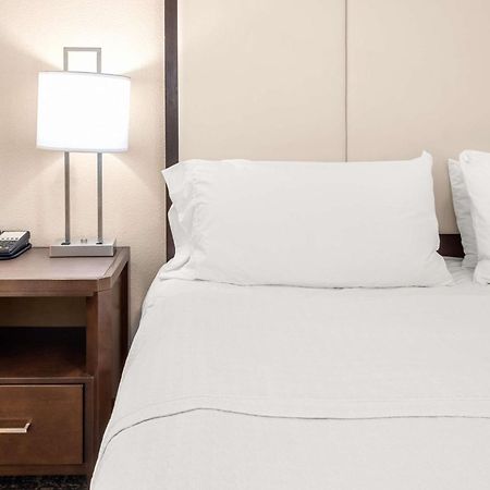 Homewood Suites By Hilton San Marcos Εξωτερικό φωτογραφία